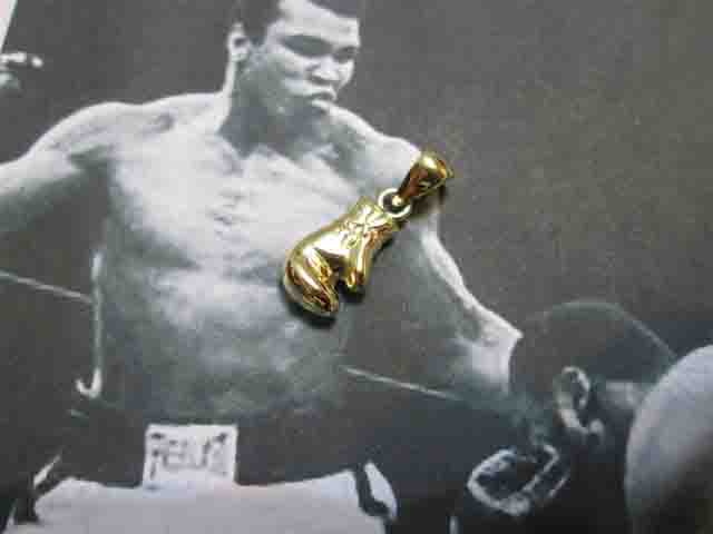 Guantone da Box (Oro) - Boxing Glove (Gold)