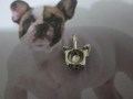 Bulldog Francese - Ciondolo (Argento) - French Bulldog - Pendant (Silver)