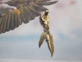 Aquila e Piume - Ciondolo (Oro) - Eagle and Feathers - Pendant (Gold)
