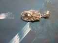Ciondolo di Fenrir (Argento) - Fenril Pendant (Silver)