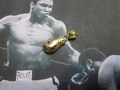 Guantone da Box (Oro) - Boxing Glove (Gold)