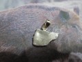 Cinghiale - Ciondolo (Argento) - Boar - Pendant (Silver)