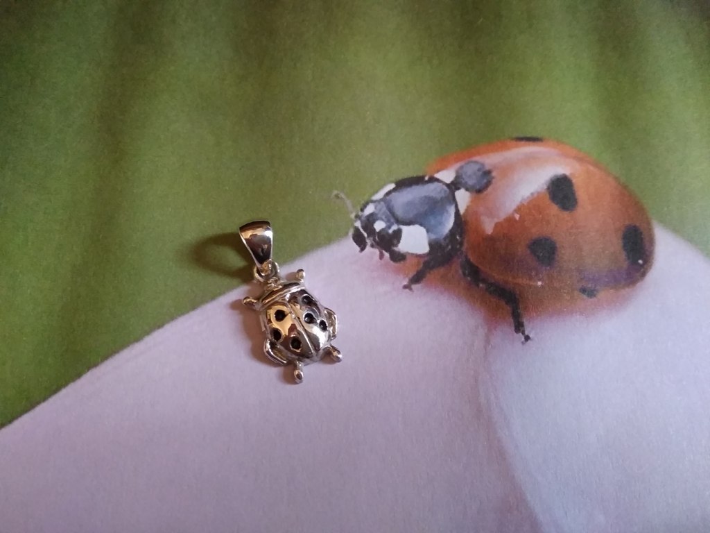 Coccinella - Ciondolo (Argento) - Ladybug - Pendant (Silver)
