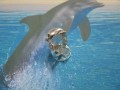Delfino Curioso (Argento) - The Curious Dolphin (Silver)