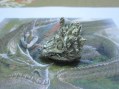 Drago Cinese - Anello (Argento) - Chinese Dragon - Ring (Silver)