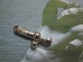 Il Pene - Ciondolo (Argento) - The Penis - Pendant (Silver)