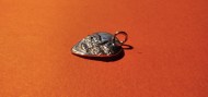 Plettro di Eric Draven (Argento) - Eric Draven Plectrum (Silver)