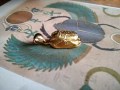 Scarabeo Egizio - Ciondolo (Oro) - Egyptian Scarab - Pendant (Gold)
